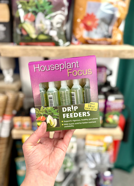 Houseplant focus drip feeder