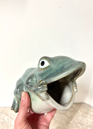 Glazed Frog pot