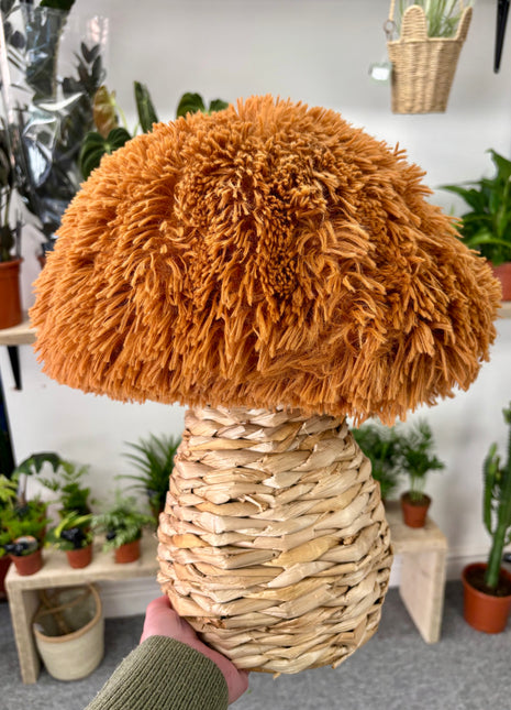 Rattan Mushroom