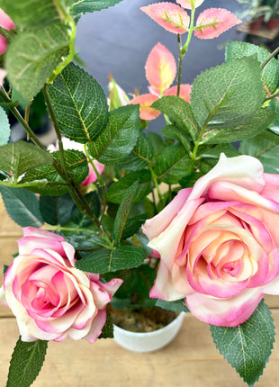 Faux Potted Rose