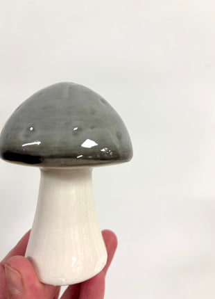 Grey mushroom