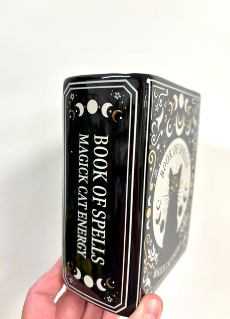 Black cat magic book vase