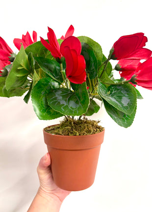 Faux red cyclamen