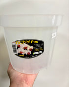 Orchid pot Clear 19cm