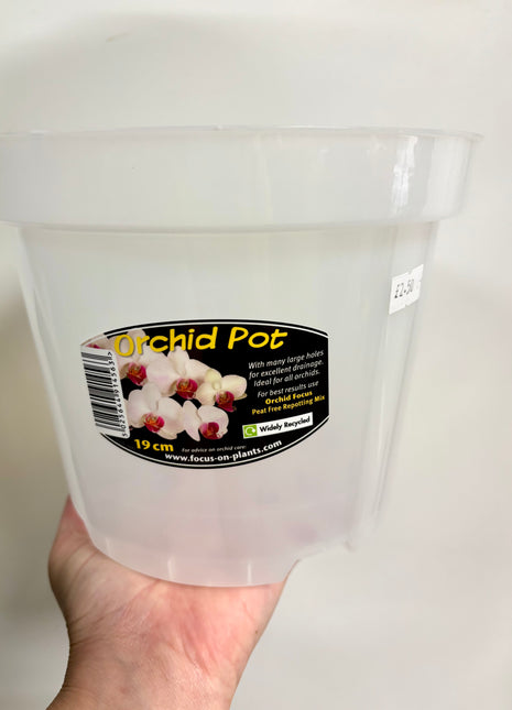 Orchid pot Clear 19cm