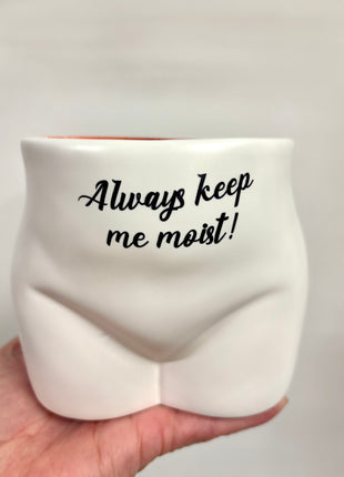 The wetter the better plant pot