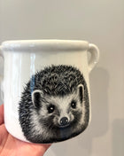 Hedgehog pot