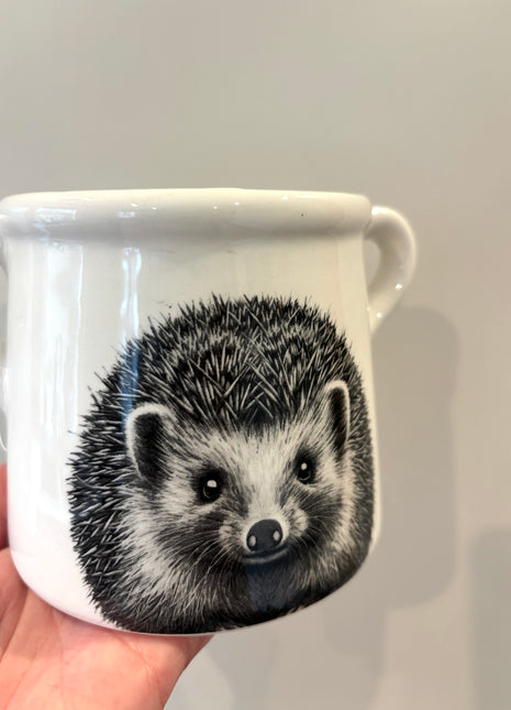 Hedgehog pot