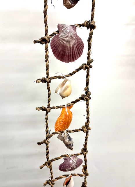Shell ladder