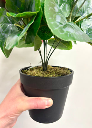 Faux Cyclamen