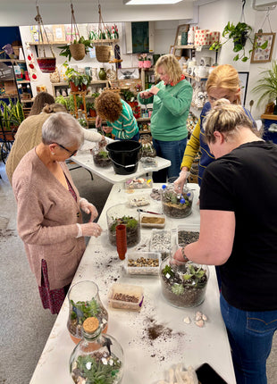 Terrarium workshop (£48)