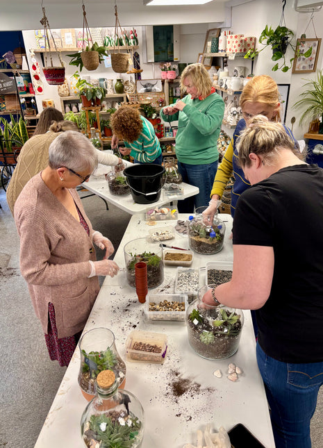 Terrarium workshop (£48)