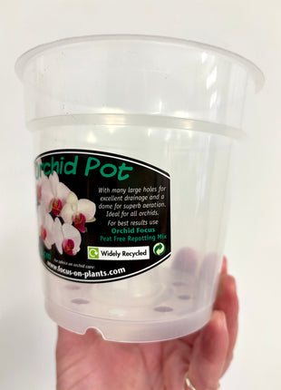 Orchid Pot Clear 12cm