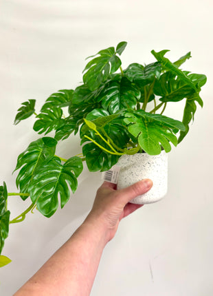 Faux monstera