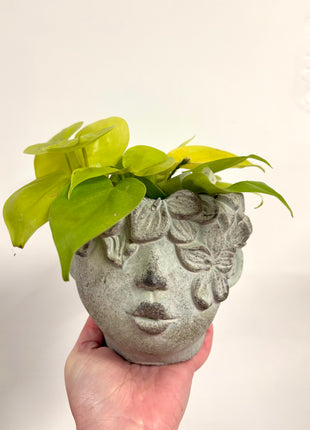 Lady concrete head pot