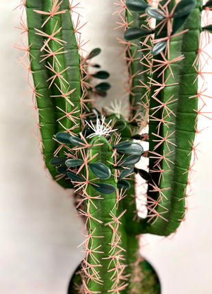 Faux Cactus