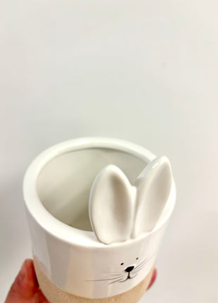 Ceramic rabbit pot