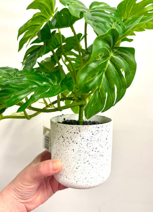 Faux monstera