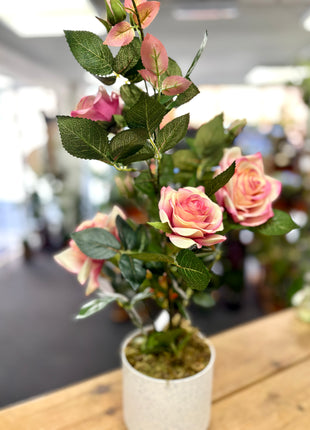 Faux Potted Rose