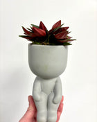 Sitting pots