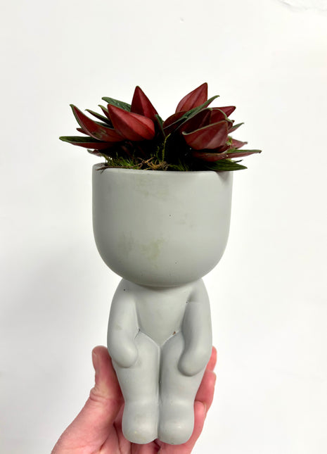 Sitting pots