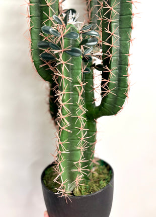 Faux Cactus