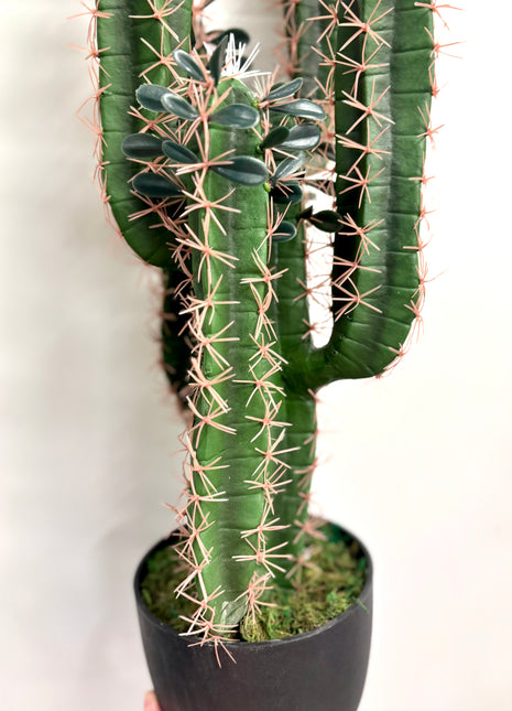 Faux Cactus