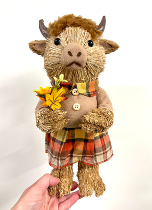 Highland cow