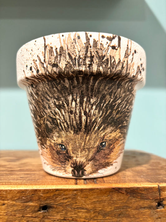 Hedgehog Pot