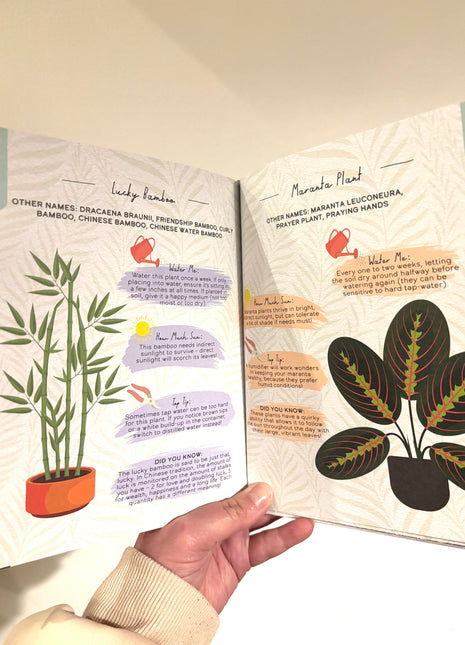 Please don’t d** guide book