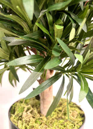 Faux tree potted