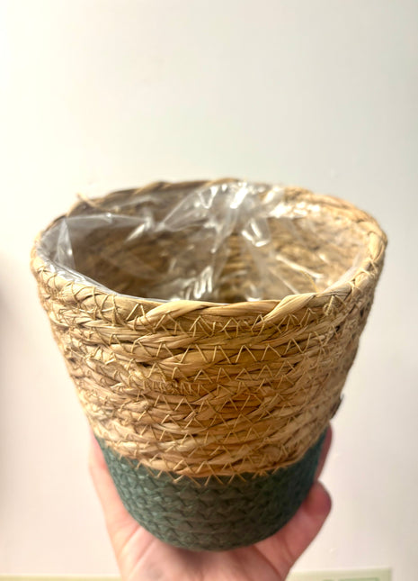 Basket/Pot natural & green 14cm