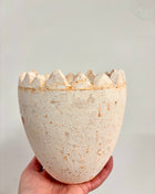 Egg planter/pot
