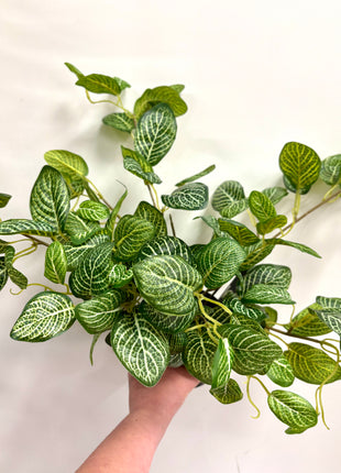 Faux pothos