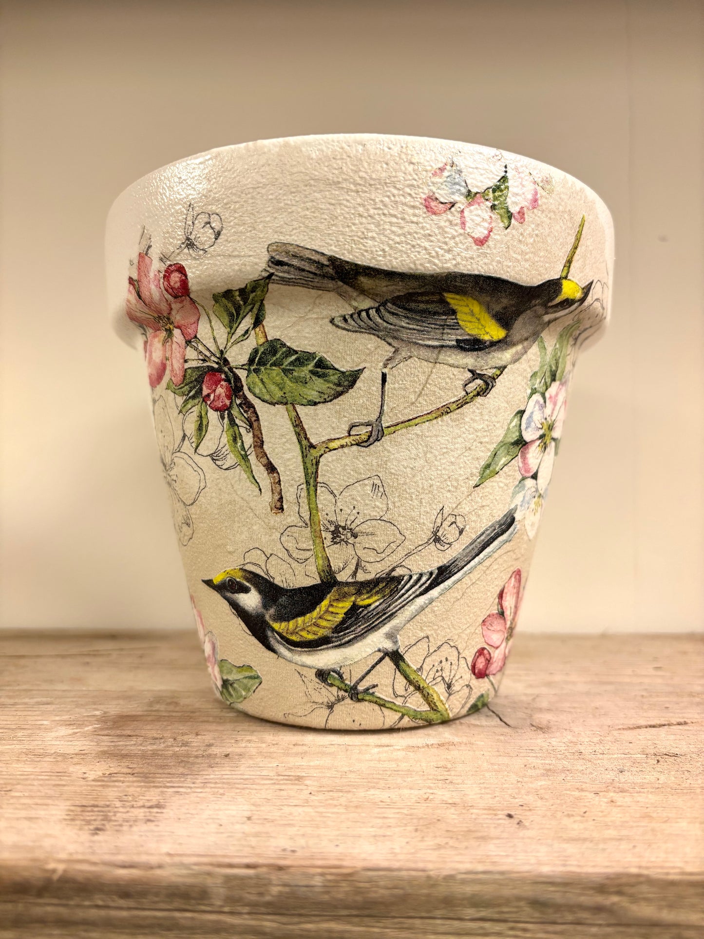 Bird Pot