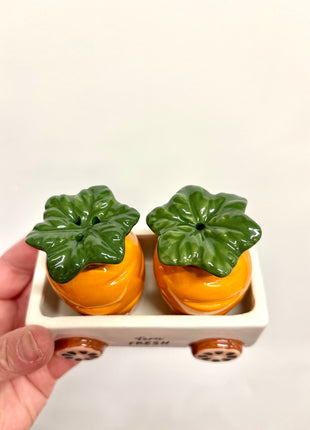 Carrot salt and pepper shakers