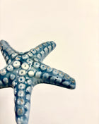 Starfish blue