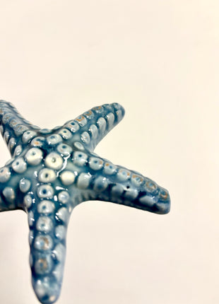 Starfish blue