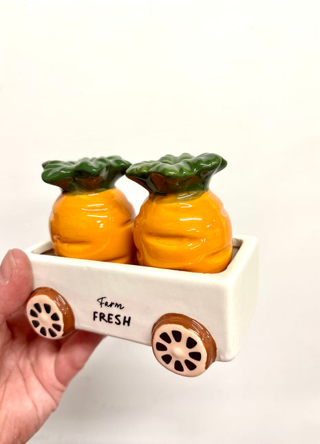 Carrot salt and pepper shakers