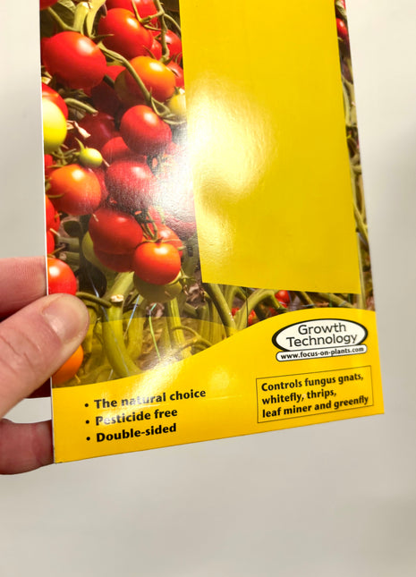 Insect traps X-Large