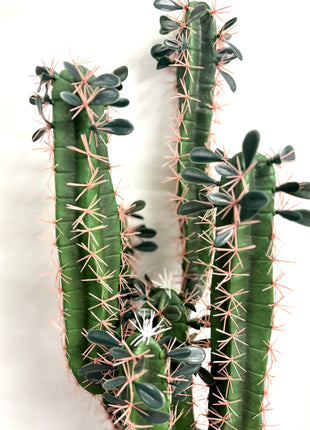 Faux Cactus
