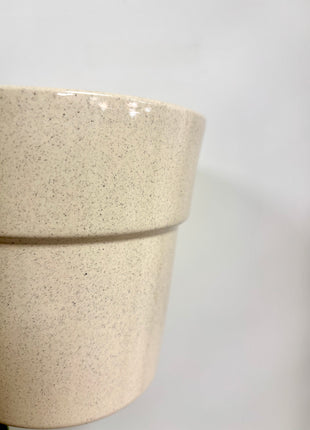 Cream Rimmed Pot