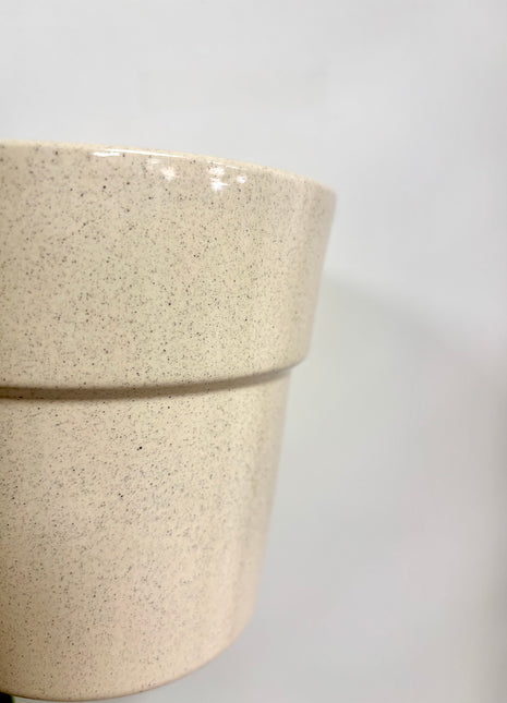 Cream Rimmed Pot