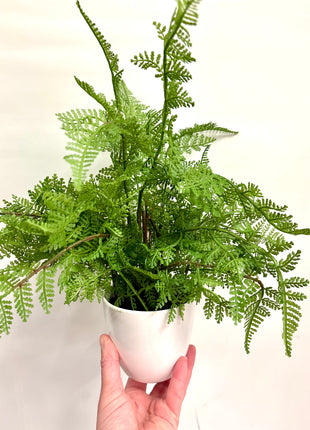 Faux lady fern