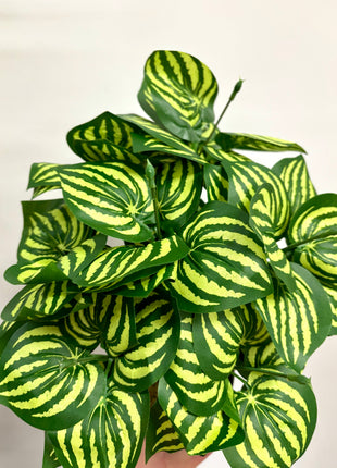 Faux watermelon plant