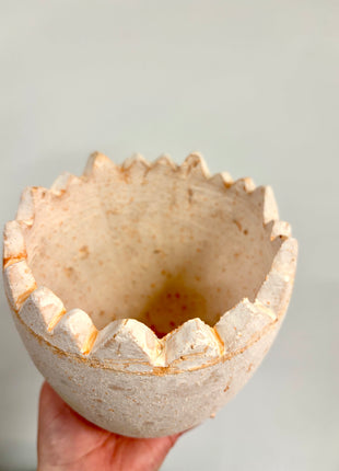 Egg planter/pot