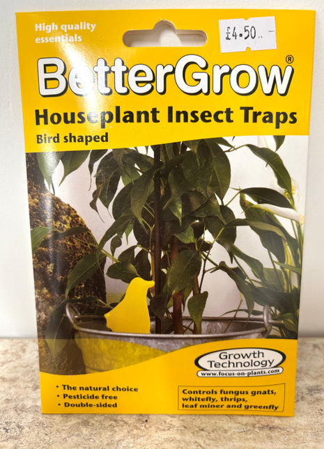 Houseplant insect traps