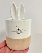 Ceramic rabbit pot