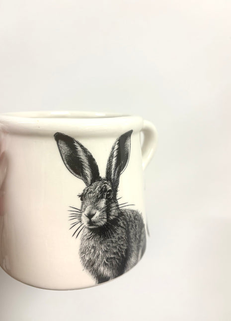 Hare plant pot