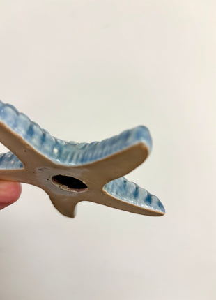 Starfish blue